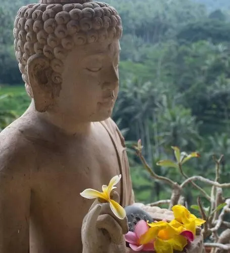 Heaven View 6 B Ubud (Bali)
