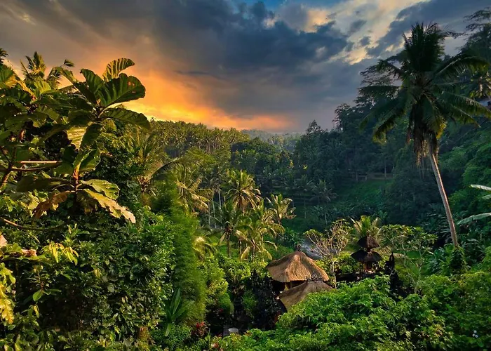 Heaven View 6 B *
