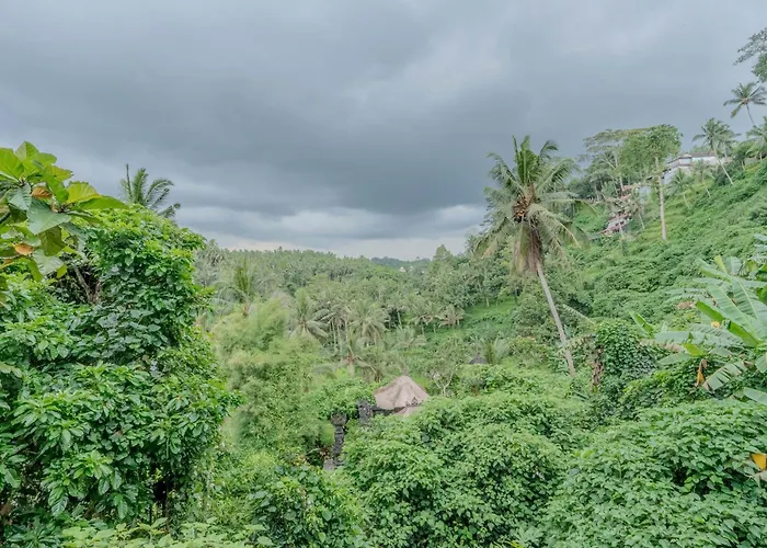 Heaven View 6 B Ubud (Bali)